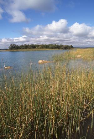 Lake Murray State Park