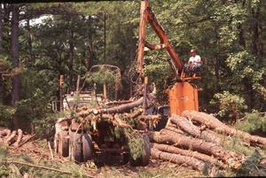 Oklahoma Timber Industry