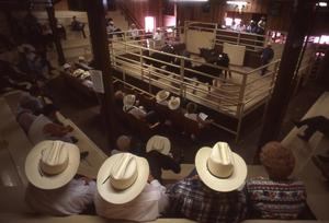 Primary view of object titled 'Cattle Auction'.
