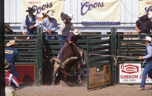 Pioneer Days Rodeo