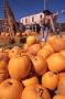 Primary view of Pumpkins