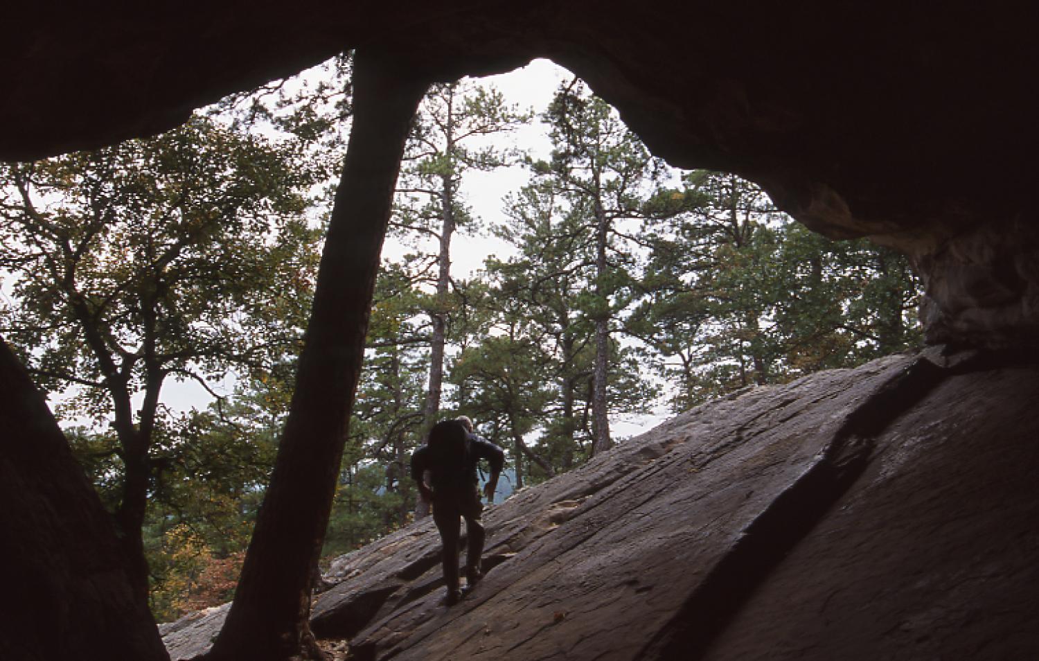 Robbers Cave State Park
                                                
                                                    [Sequence #]: 1 of 1
                                                