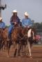 Thumbnail image of item number 1 in: 'International Finals Youth Rodeo'.
