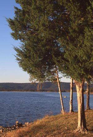 Sardis Lake