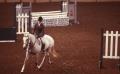 Primary view of American Quarter Horse Association Show