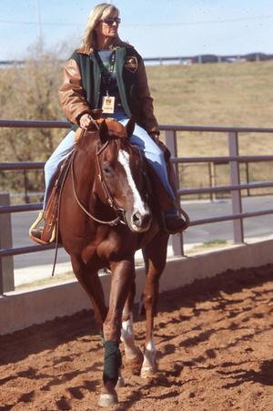 American Quarter Horse Association Practice