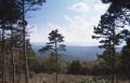 Photograph: Ouachita National Forest