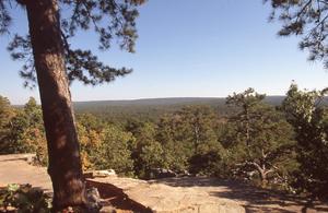 Primary view of object titled 'Robbers Cave State Park'.