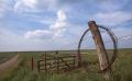 Thumbnail image of item number 1 in: 'Joseph H. Williams Tallgrass Prairie Preserve'.