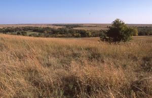Primary view of object titled 'Joseph H. Williams Tallgrass Prairie Preserve'.