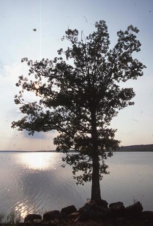 Lake Wister State Park