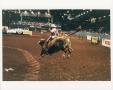 Photograph: Rodeo