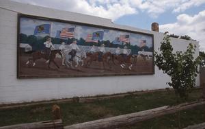 Rodeo Wall Mural