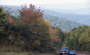 Primary view of Ouachita National Forest
