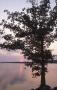 Photograph: Lake Wister State Park