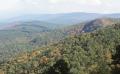 Primary view of Ouachita National Forest