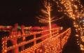 Primary view of Garden of Lights