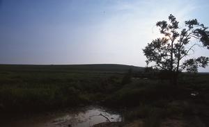 Joseph H. Williams Tallgrass Prairie Preserve