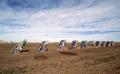 Primary view of Cadillac Ranch