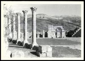 Excavated Roman City of Djemla