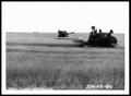 Primary view of Harvesting Wheat
