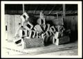 Thumbnail image of item number 1 in: 'Rabbit Traps Made of Logs'.