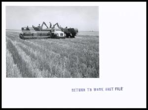 Primary view of object titled 'Combines Transferring Wheat'.