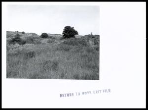 Primary view of object titled 'Sandy Prairie Range Site'.