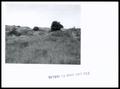 Thumbnail image of item number 1 in: 'Sandy Prairie Range Site'.