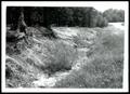 Primary view of Erosion Control