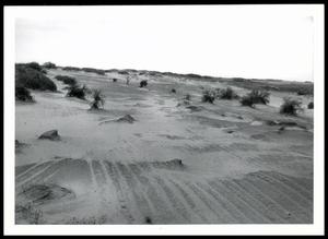 Primary view of object titled 'Wind, Wind Erosion, Sand Storms and Dunes'.