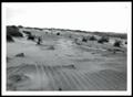 Thumbnail image of item number 1 in: 'Wind, Wind Erosion, Sand Storms and Dunes'.