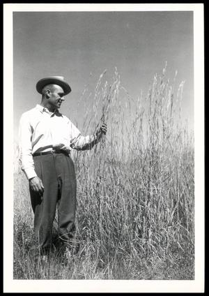 Grass, Legume, and Forb Cultivation