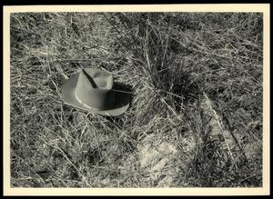 Primary view of object titled 'Grass, Legume, and Forb Cultivation'.