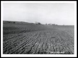 Alfalfa Field Developed in Flood Plain of Cloud Creek