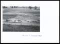 Thumbnail image of item number 1 in: 'Wildhorse Creek'.