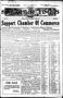 Newspaper: The Sulphur Times (Sulphur, Okla.), Vol. 10, No. 26, Ed. 1 Thursday, …