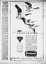 Thumbnail image of item number 3 in: 'Chickasha Daily Express (Chickasha, Okla.), Vol. 33, No. 198, Ed. 1 Thursday, December 2, 1926'.