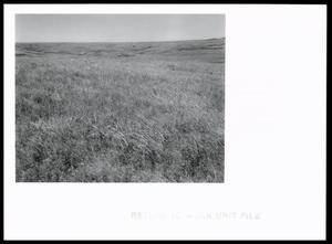 Red Clay Prairie Range Site