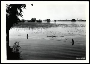Primary view of object titled 'Flooded Wheat Field'.