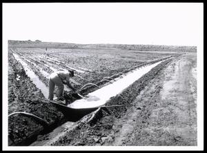 Irrigation on Site 28