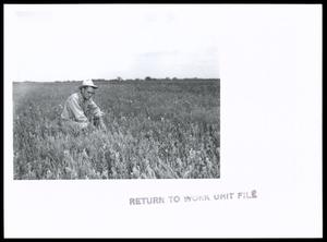 Primary view of object titled 'District Manager Examining Stand of Native Grass'.