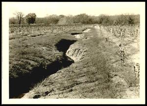 Soil Erosion of Crop Field