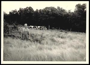 Lovegrass Pasture