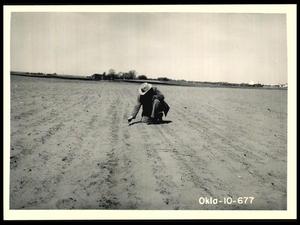 Primary view of object titled 'Wheat Crop Destroyed Via Wind Damage on O. W. Rutledge Field'.