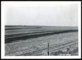 Thumbnail image of item number 1 in: 'Harmon County Class II Land'.