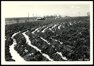Primary view of object titled 'Peter Johnson Estate Contour Farming Field/Chickasha Project'.