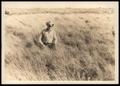 Photograph: Sasseen Ranch Sideoats Grama Grass