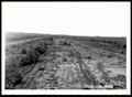 Photograph: Spoils Leveled for Planting Alfalfa in Fall of 1951 for the Choska Dr…