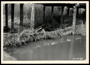 Primary view of object titled 'Grassy Debris Covered Fence Under Bridge'.